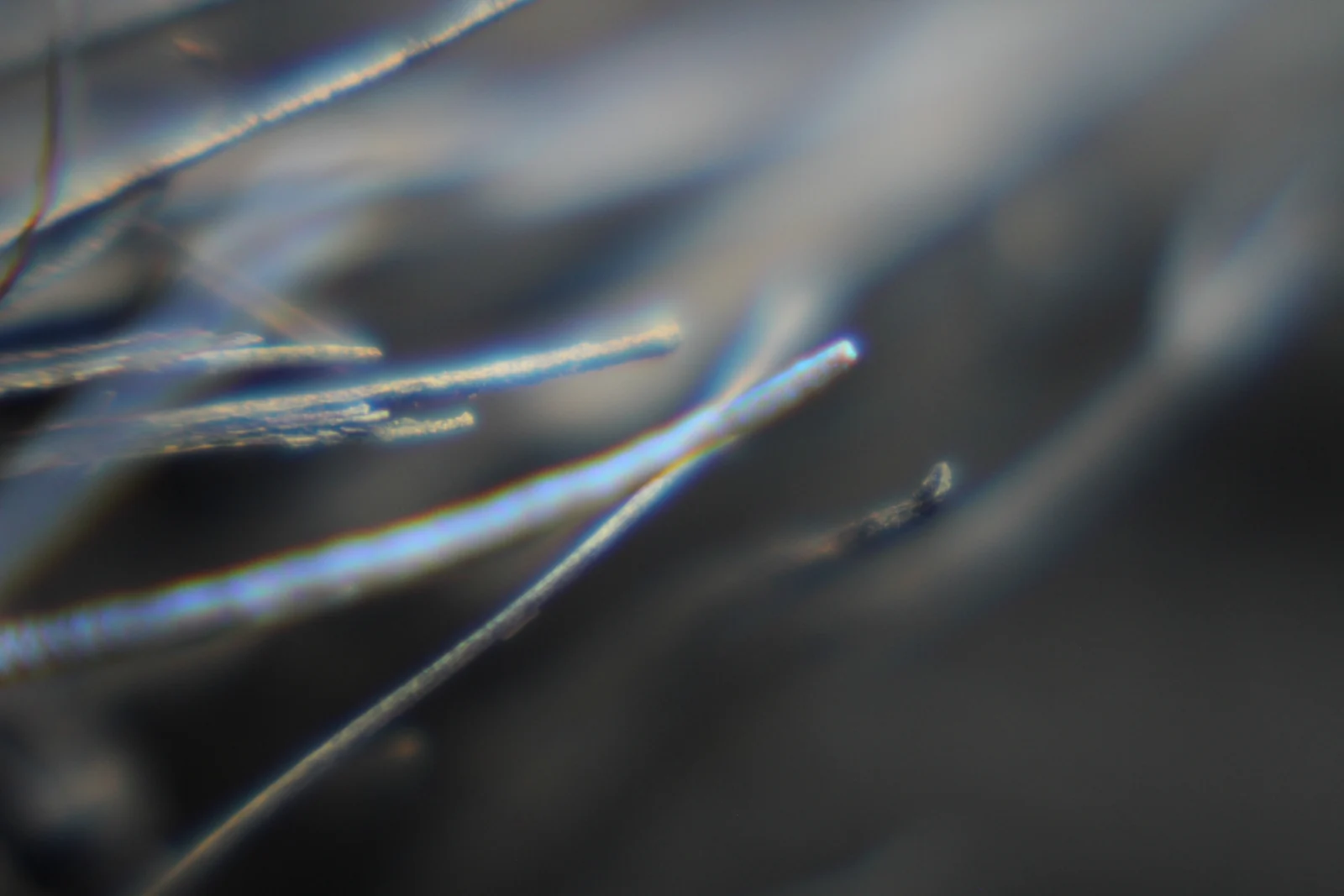 Macro abstracta de fibras azules