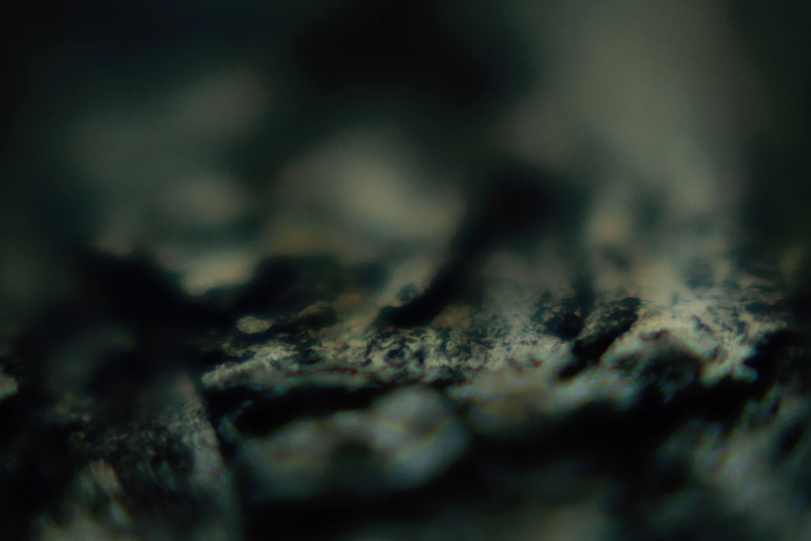 Exploración macro del archivo visual de Domo Ludens